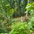 Land Kehena Beach Estates 6 thumbnail
