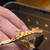 Baby crested gecko 4 thumbnail