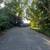 Private Room available for rent near Elk Grove Park 1 thumbnail