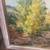 Vintage framed trees  oil painting 2 thumbnail