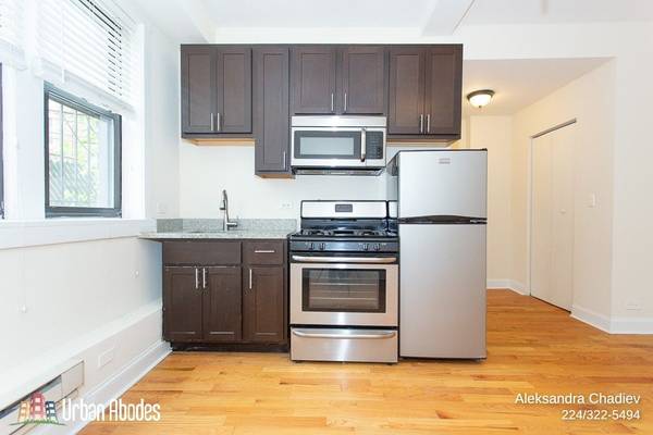 $1,350 / 500ft2 - Awesome Studio, 1 Bath in Ravenswood, Available: Now (Ravenswood)63899123057922124