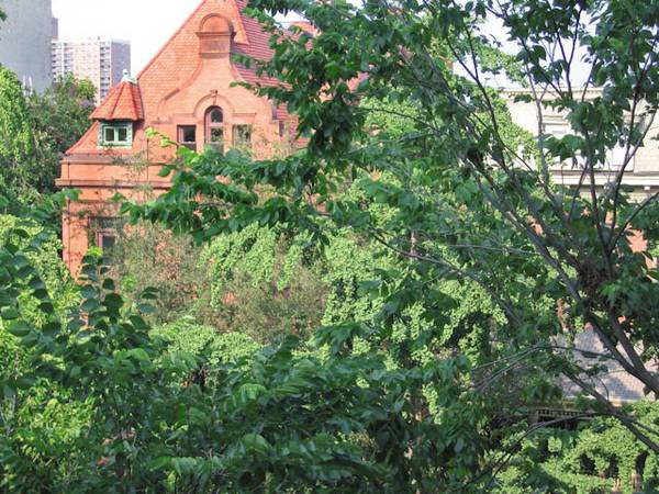 $1,735 / 250ft2 - Elusive Huge Sunny Room w/Bath in Stunning Fort Greene / Clinton Hill (( Fort Green / Clinton Hill)63816602469505122