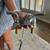 Delta Bathroom Faucets - 4 3 thumbnail