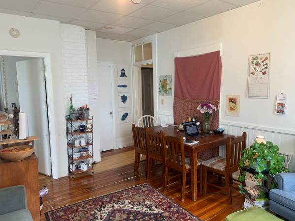 $875 / 210ft2 - 14' x 15' unfurnished room available in furnished 4BR (Harvard Square)63699215633537124
