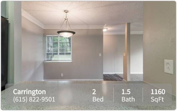 $1,445 / 2 habitaciones - 1160 pies² - ¡Paraíso para mascotas! 2 habitaciones/1.5 baños ideal para compañeros peludos. (Hendersonville)63680175975811120