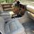 2002 Lexus Lx470 4x4 factory air leveling suspension 3 thumbnail