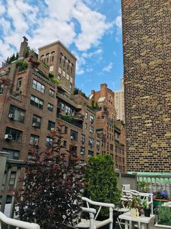 $3,100 / 1br - 550ft2 - VERDADERA JOYA EN EL CORAZÓN DEL UPPER EAST SIDE. De vie 19 sep a 18 oct (Upper East Side)63689608733441121