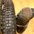 New+ used   Tires Quality 26 700 Gravel Cross 29er 27.5 Enduro Race 2 thumbnail