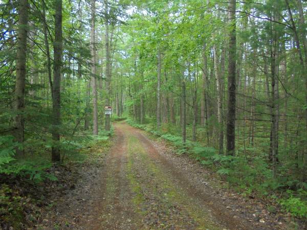 $81,500 18+ acres adjacent to State Forest & River--competitive land contract (Millersburg/Ocqueoc)64037724364801122