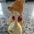 Disney - Winnie the Pooh with Hunny Jar Figurine 4 thumbnail