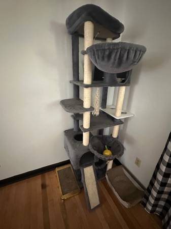 Gato (Rogersville)63822614194819121