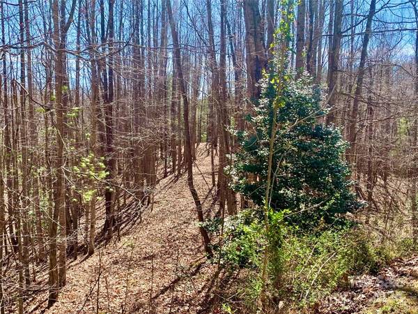 $69,900 Lot 84 w/ a flat ridge that stretches from the street to a flat knoll (The Coves Mountain River Club, Lenoir NC)64029212752769120