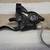 Brake/Shifters, Shimano 4 thumbnail