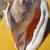 Queen Horned Helmet Conch Shell 10”x 6”x8”  RARE 5 thumbnail