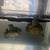 2 juvenile yellow belly turtles 1 thumbnail