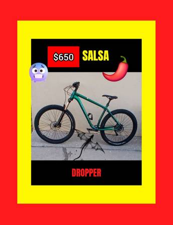 🌶 SALSA MOUNTAIN BIKE 1