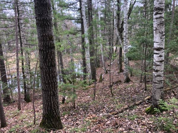 $153,000 / 38ft2 - 38 Acres of Beautiful wooded Land (Kempster)64152174712323123