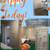2-Bedroom Homes! 6 thumbnail