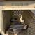 Vari Pet Kennel 2 thumbnail