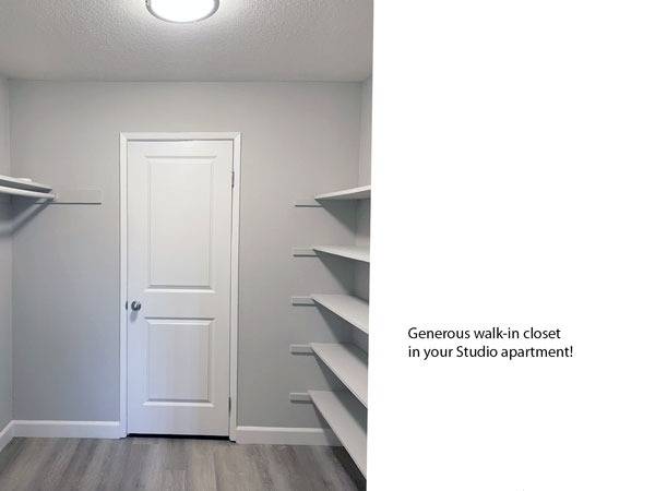 $1,795 / 460ft2 - WOW! Studio apt, Wood-style flooring, Modern kitchen, Generous storage (hercules, pinole, san pablo, el sob)63790096500227123