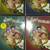 Beverly Hillbillies collection 4 thumbnail