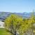 Freshly updated! 2 bed, 1.5, w/d, d/w, a/c, deck with VIEWS, PETS OK! 3 thumbnail