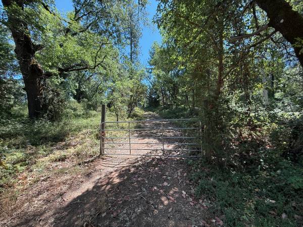 $169,000 10.01 Acres, 3 Miles from the Yuba River,  Pond, Old Home Site (Nevada City)63952104973443122