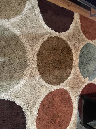 Large Area Rug - roughly 11' x 8' 1