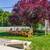 🐾 “Granada Better Spot for Pets” – Paw Park + Most Utilities Incld 🐶 2 thumbnail