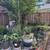 $1050/mo - Room & Pvt Bath, Utils Incl. - Fremont (Español/中文 OK) 8 thumbnail