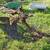 Large 2 Bottom Plow pull type 1 thumbnail