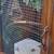 Critter Cage or Bird Cage 12 thumbnail