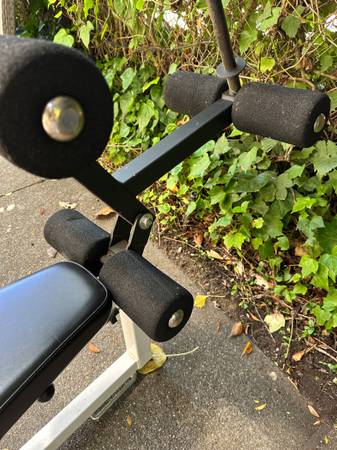 Weight Bench and Weights - $95 (san mateo)63471197910401123