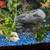 Fish tank 4 thumbnail