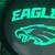 PHILADELPHIA  EAGLES MANCAVE LIGHT 3 thumbnail