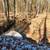 Arkansas  Ozarks 4 thumbnail
