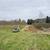 Overgrown acreage, Brush Cutting - Selective clearing 4 thumbnail