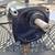 BODINE GEAR MOTOR and CONTROLLER 4 thumbnail
