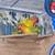 Birds cages 11 thumbnail