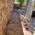 Lawn maintenance & Trash hauling/ junk removal( FREE Estimates!)(El paso) 12 thumbnail
