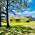 make your dream lifestyle a reality in this exceptional home 15 thumbnail