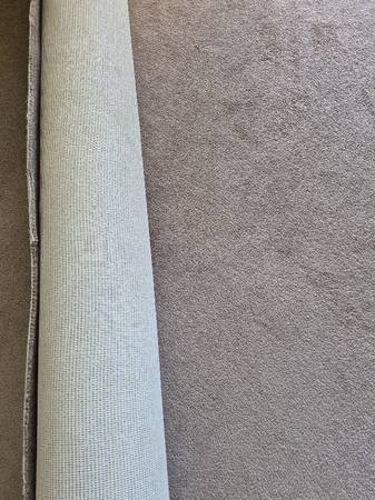 beige carpet 1