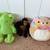 Free stuffed animals and toys 1 thumbnail