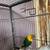 Love bird 6 thumbnail