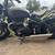 Triumph BOBBER! - So sexy! 8 thumbnail