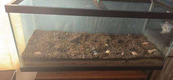 75 g aquarium 1