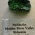 Genuine Moldavite 3 thumbnail