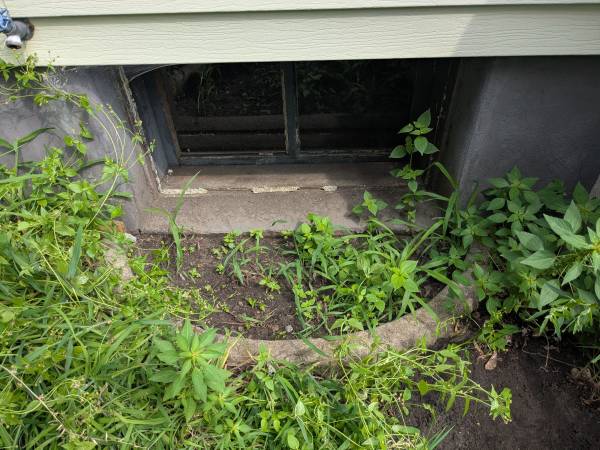 Old concrete window wells 1