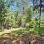 Price Drop* 4.33 acres 3 thumbnail