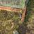 Chicken Tractors 4 thumbnail